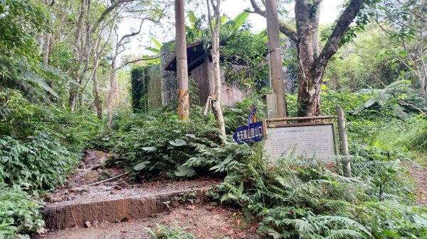 【苗栗南庄】向天湖山光天高山小O繞2933180