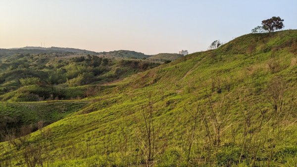 知高圳步道、學田山1665248