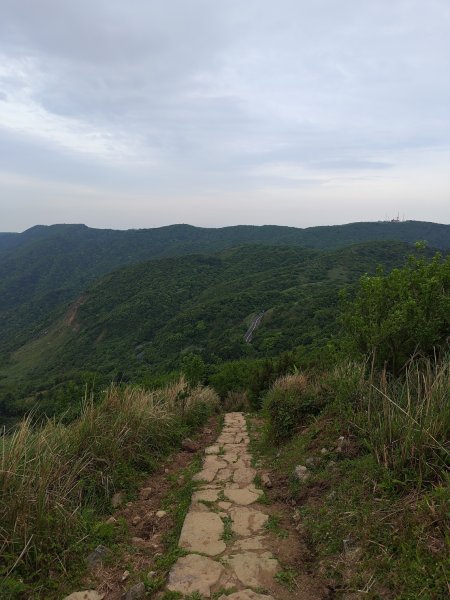 臺北大縱走第三段 小油坑至風櫃口2774171