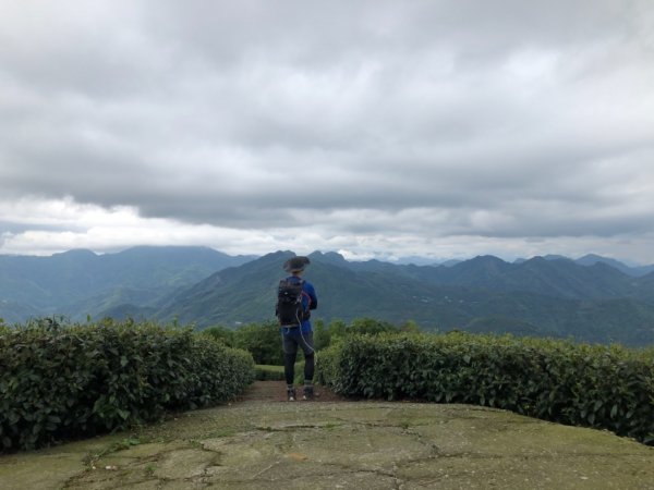 嘉義連峰獨立山大巃頂紅楠坑觀音石阿拔泉633211