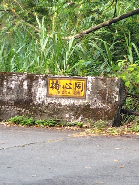 唐麻丹山 蝴蝶谷2918911