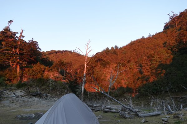 小關山林道上斯拉巴庫山1285109