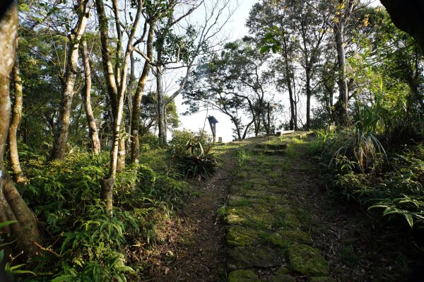 新北 三峽-土城 大暖尖山、火焰山、石門內尖山、十八羅漢岩、成福山3016605