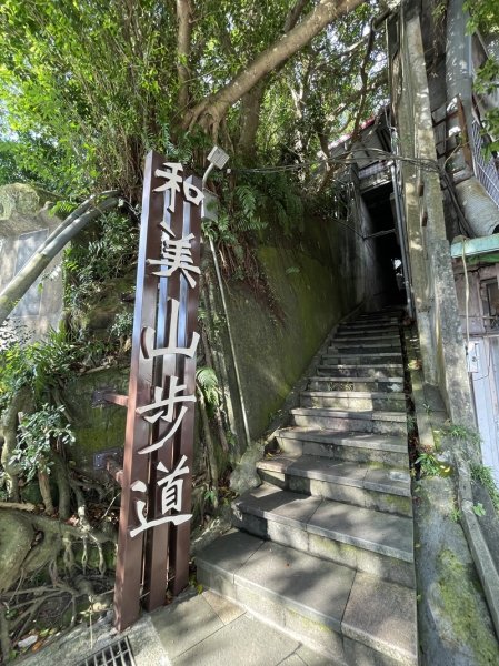 【二格山系】和美山螢火蟲2852553