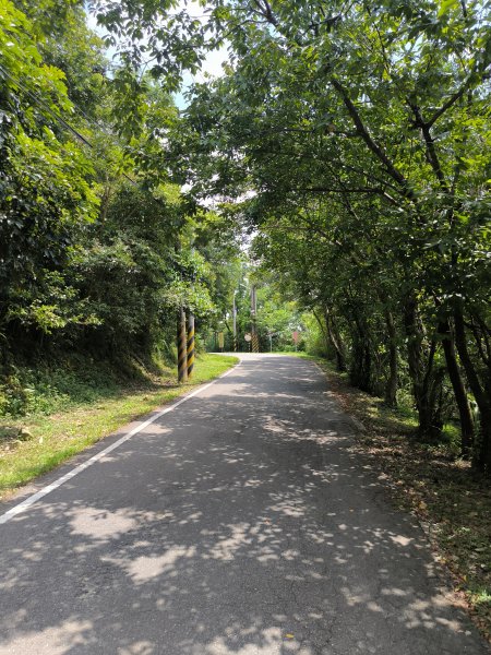 20250809樹迴縱走2855039