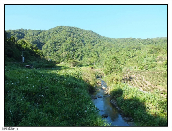 【新北市】九芎根山登山步道