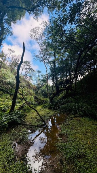 烘爐地山、桶後溪源頭O走2593129