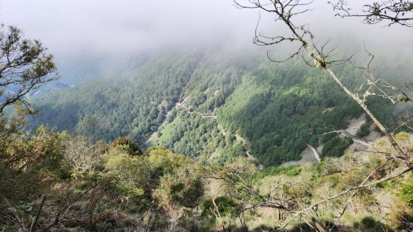 玉山前峰，關子嶺大凍山，宜蘭拳頭姆自然步道2313391