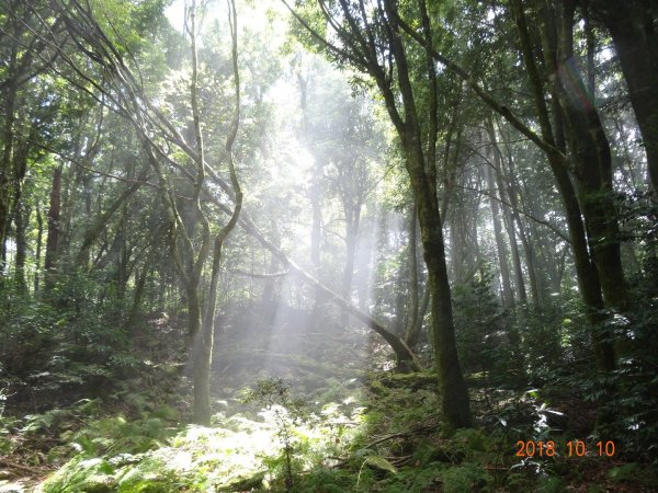 稍來小雪山步道451251