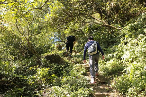 竹子山古道：北北峰161372