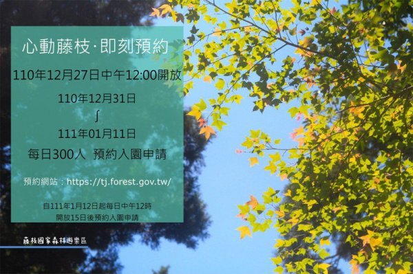 【新聞】藤枝國家森林遊樂區12月31日調適性營運開園，27日起開放預約，門票半價優惠