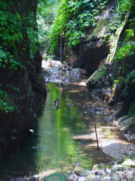 2020.5 獅山古道群 966840