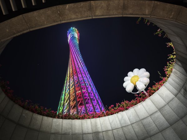 [茂名馬之行-05] 2026_0116 廣州塔夜景2994107