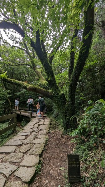 112.05.27擎天崗山-雞心崙2169077