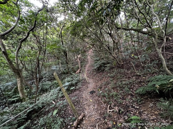 連走微笑山線第一段＋第二段（大棟山系）2853023