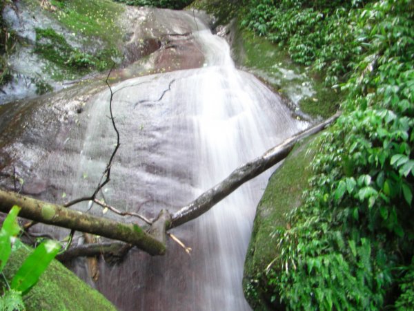 大溪_金面山200908141957751