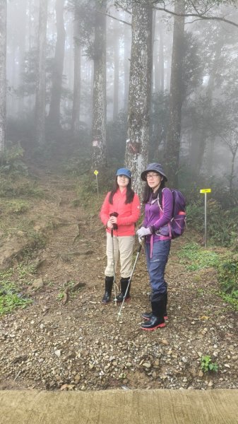 油羅山202503092731875