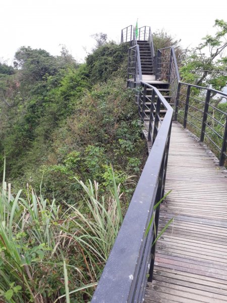 雲林林內龍過脈森林步道20190323550609