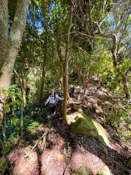 瞭望台-瓊山-望美山-獵人古道2886873