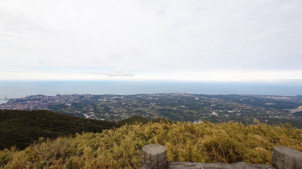 20260125 陽明山前後山健行(無極天元宮~山仔頂步道.向天池.向天山.面天山.二子坪)2998036