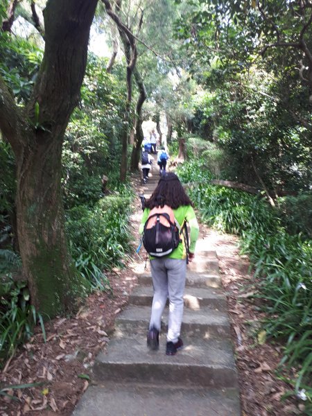 外南勢角山(國旗嶺)-圓通寺環山步道1700508