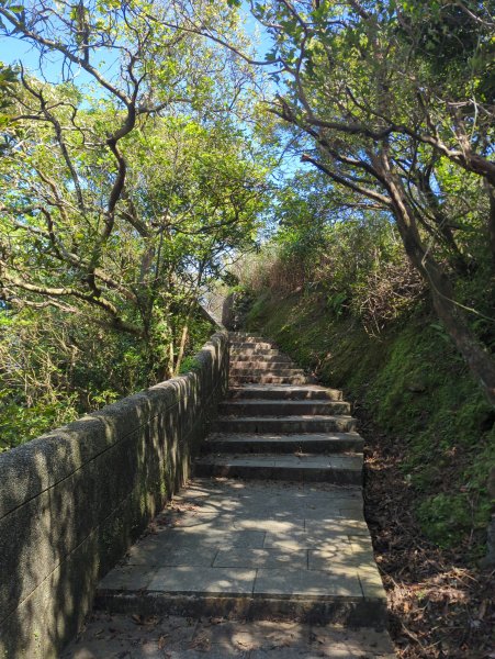 2026.08.29－基隆山步道3114240