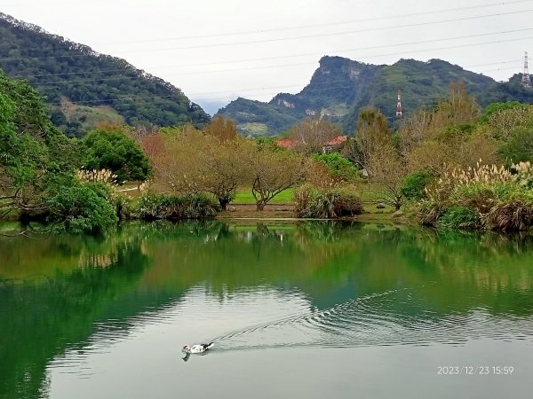 四訪苗栗的花果山-小百岳#037馬那邦山、雪霸國家公園管理處【小百岳集起來、苗栗-臺灣百大必訪步道】2394377
