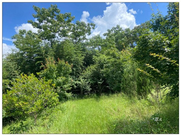 大坪頂山 (苗栗、卓蘭)2845286