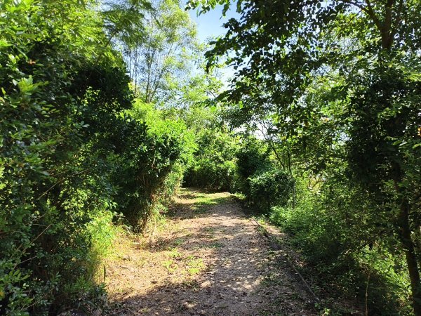 [漫遊縱谷 愛在花東-01/10] 2025_1011 大武觀海步道2912917