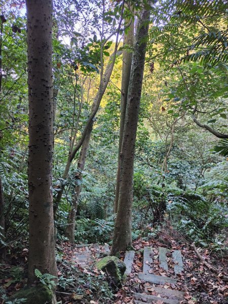 2023.12.14 土城天上山2827290