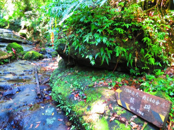 夏季清涼步道 三貂嶺越嶺猴硐古道1031007