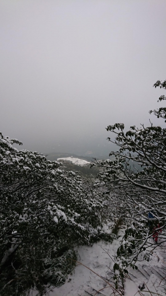 2018/2/5 七星山東峰265375