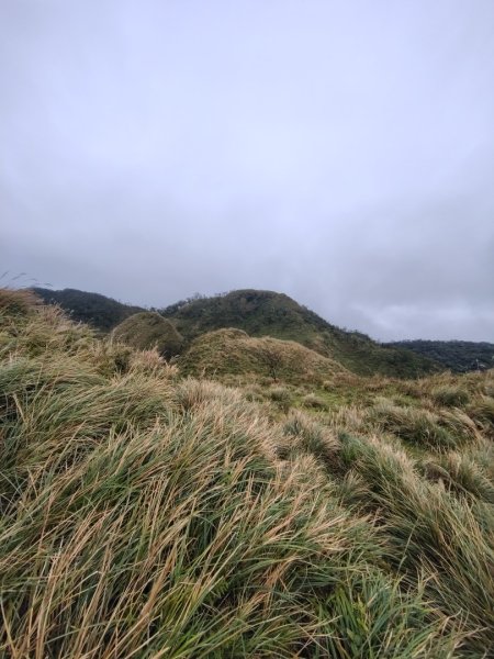 渭水之丘 烘爐地山 抹茶山 三角崙山2938756