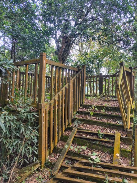 鳳鳴古道 鳳鳴山 南隘勇（南長城）古道 三湖山 八達嶺（龍骨）古道 綠色古道 延平古道2975306
