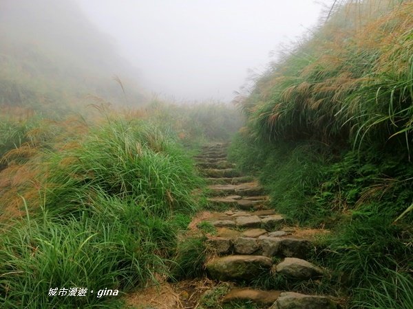 台北市第一高峰。 編號02小百岳七星山1235309
