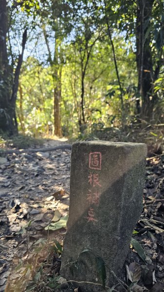 國際巨星-喜德，陪走！🤣🤣】18訪魔王小百岳-尾寮山。農曆年前最後一走，感謝氣象預報有準。2997896