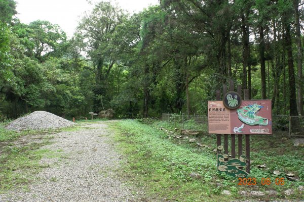 新北 烏來 福山植物園 - 哈盆越嶺步道 - 志良久山2241646