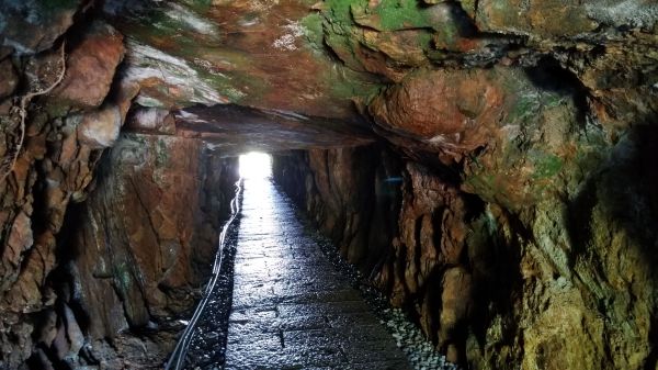 燦光寮山、黃金三稜141628