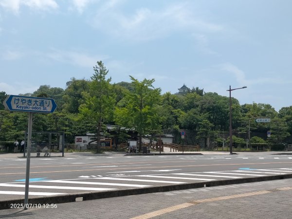 和歌縣：和歌山城2833559