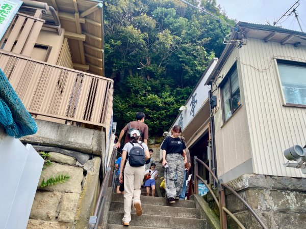 1150816 JP 藤澤市江之島3111246