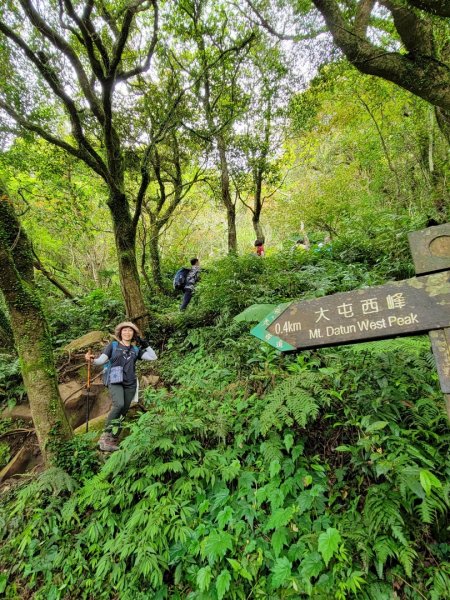 20230404愛上土徑山路 (頂湖山-中正山-大屯西峰-面天坪-清天宮)2096221