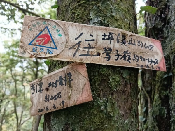 雙溪區打鐵寮山-鶯子嶺-坪溪山-烏山63號-烏山越嶺古道(坪溪山北峰)P字走3023728