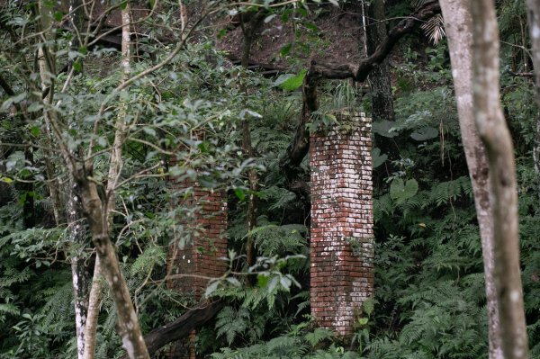 北港二坑-翠湖-內溝山-油桐嶺-老鷲尖山-老鷲尖南峰-學頭坡山 O型2232066