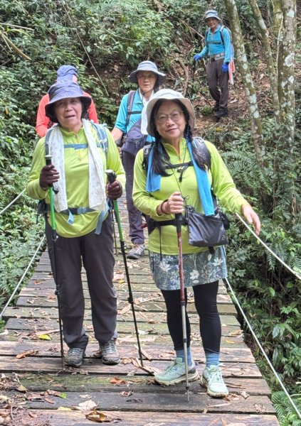 阿里眉山+大舌滿山（路跡不明/未竟 ）2866339