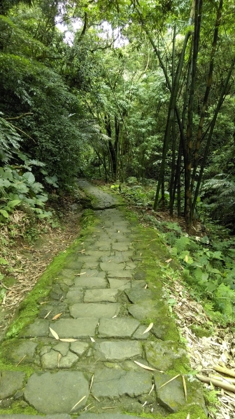 土城內冷水坑山-大尖山 105.6.1254857