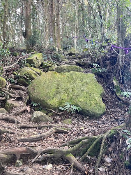 小百岳-金柑樹山2717250