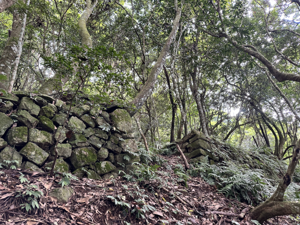 2024/10/11東洗水山下洗水駐在所O型