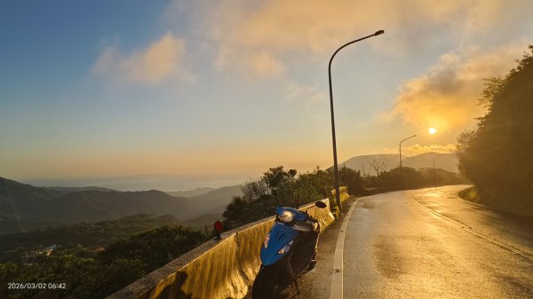 追花是簡單的快樂，賞花是恬淡的幸褔 3/2&73008754