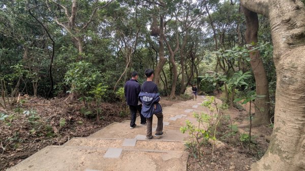 劍潭山親山步道2676464