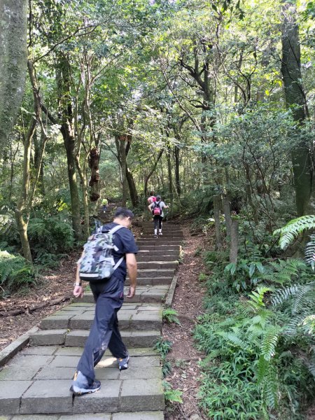 【台北市北投區】七星山主峰(苗圃登山口、小百岳002)2291921